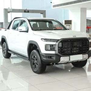 奇瑞威麟皮卡 (2) Chery RELY Pickup