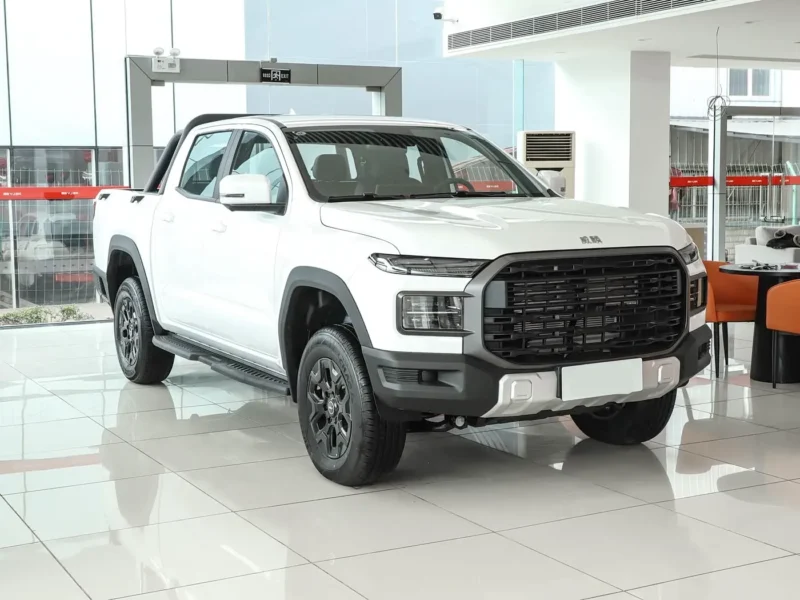 奇瑞威麟皮卡 (2) Chery RELY Pickup