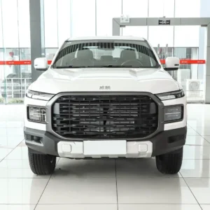 奇瑞威麟皮卡 (3) Chery RELY Pickup