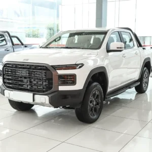 奇瑞威麟皮卡 (4) Chery RELY Pickup