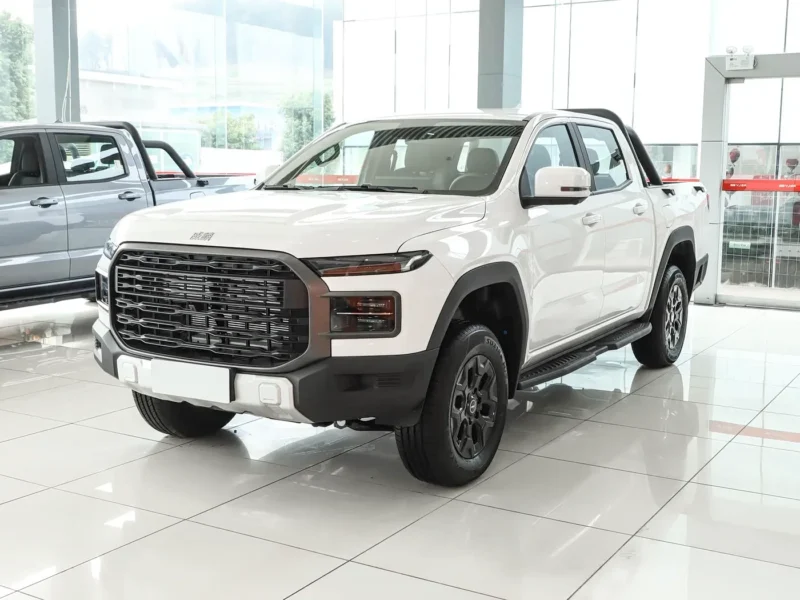 奇瑞威麟皮卡 (4) Chery RELY Pickup