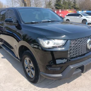 左前45 Great Wall POER