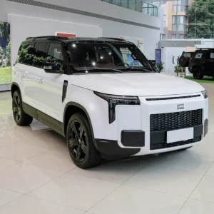 极石01 (2) ROX 01
